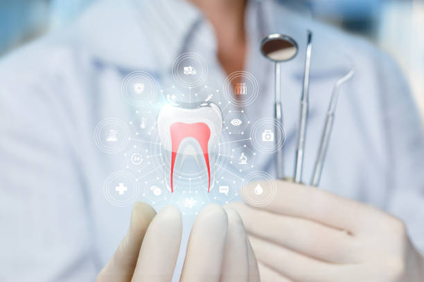 Best Dental Exams and Cleanings  in Collinsvle, IL